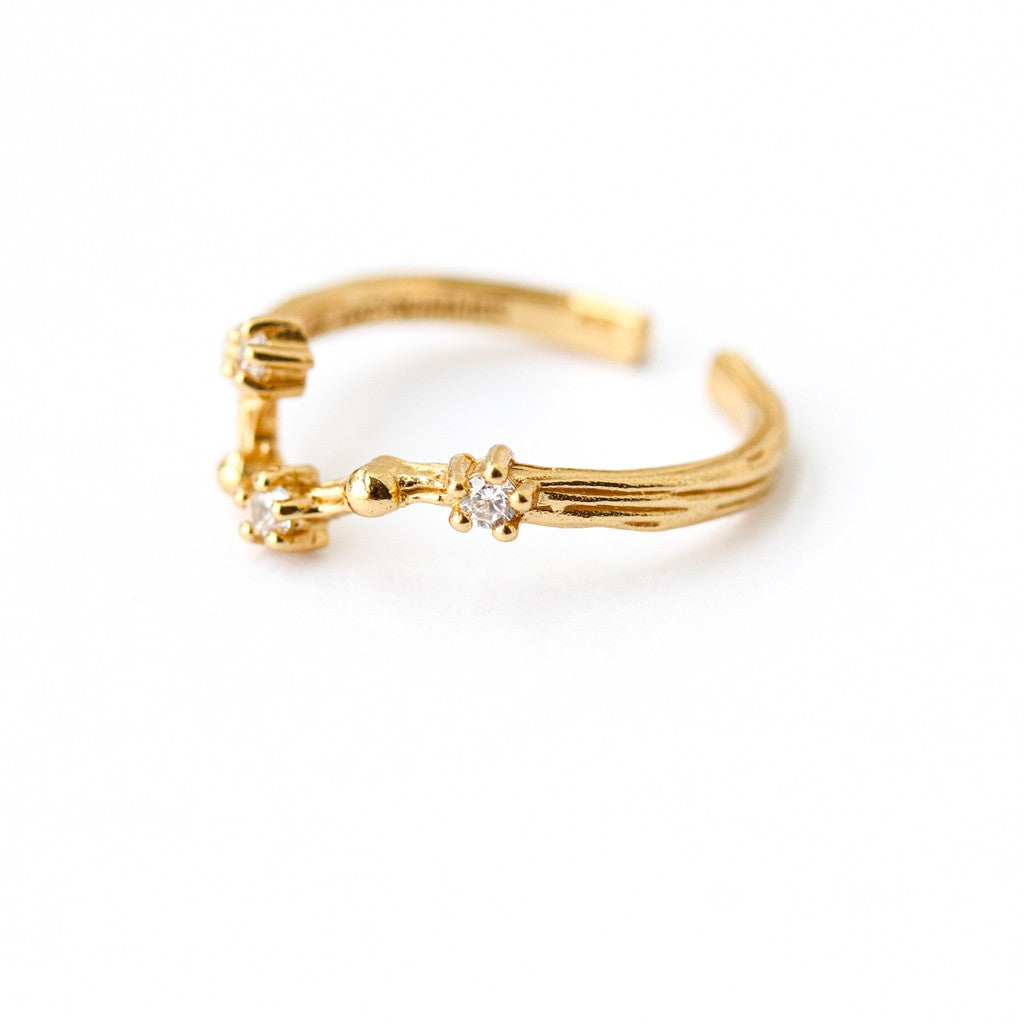 LUCY SUMMER [Gold 18k] Zodiac Rings - แหวนประจำราศี 12 ราศี ตัวเรือนเงินแท้ ฟรีไซส์